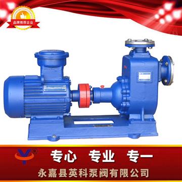 直聯(lián)式自吸離心油泵
